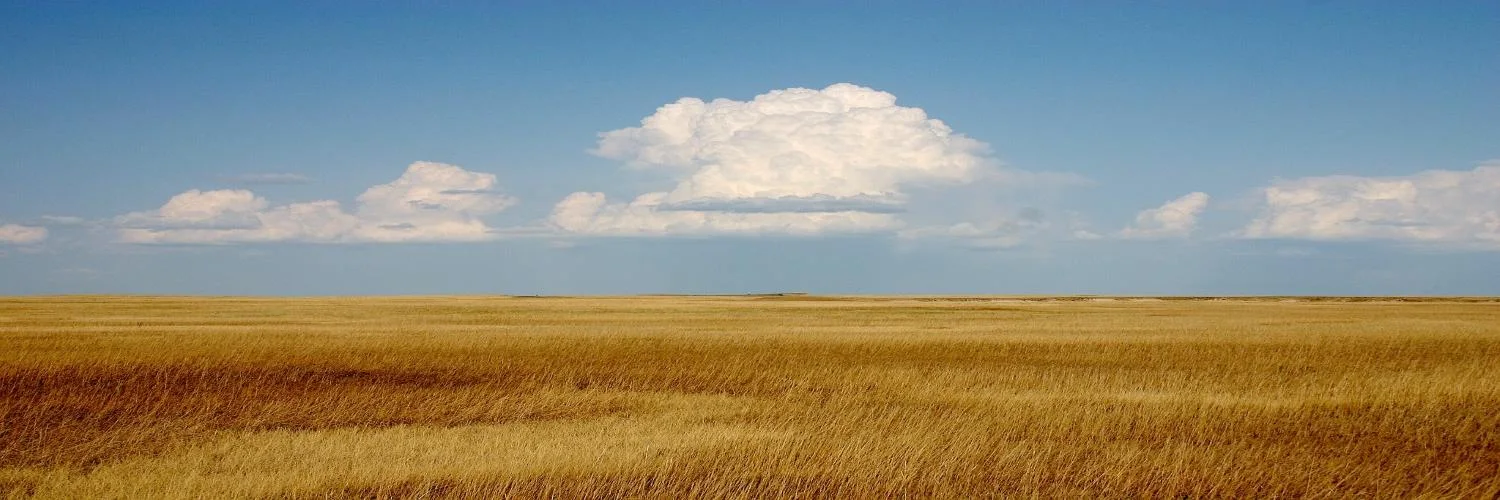 Prairie grass and an open sky in Kit Carson County