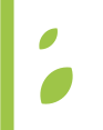Live Beekman logo
